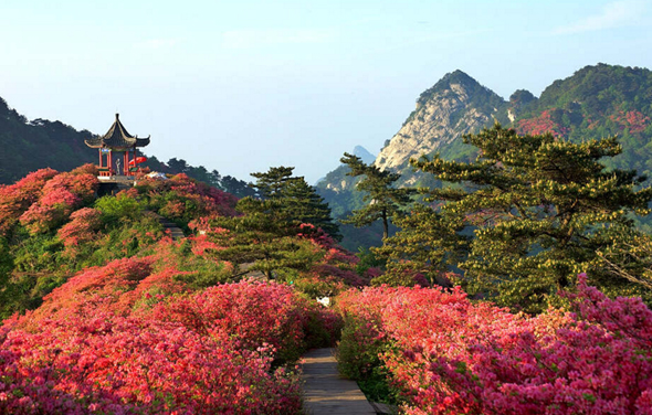 Conflict Minerals Statement