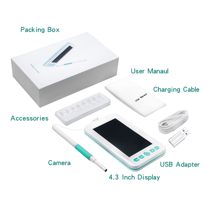 4.3 Inch Hd Monitor 2mp 5.5mm Camera Ear Cleaning Endoscope Portable Video Otoscope