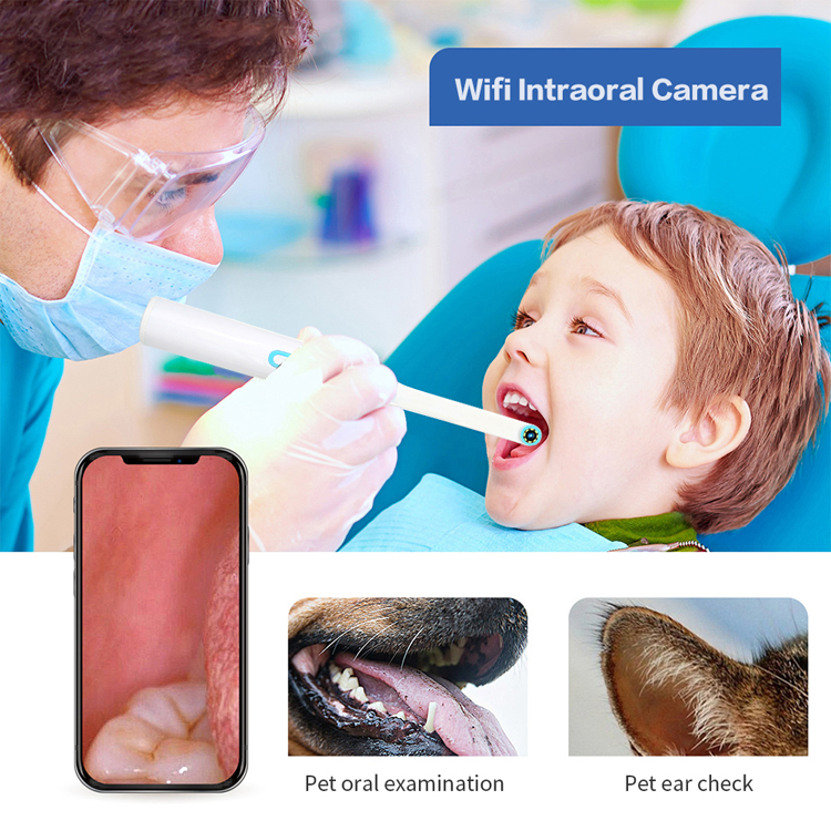 Hot Sale 1080p Decayed Dental Calculas Tooth High Resolution Led Light Wireless Wifi Oral Endoscope Dental Intraoral Camera