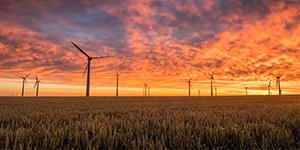 Espera-se que a China entre na era do não-subsídio fotovoltaico em 2021.