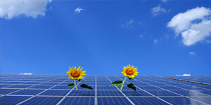 Jilin Baicheng lança aplicação “fotovoltaica +”