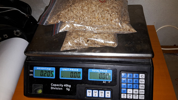 85-95% जीवित रहने के फूल paulownia पेड़ के बीज डिस्काउंट मूल्य