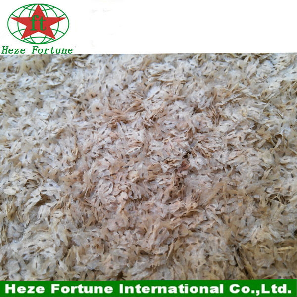 Fast growing rate cold resistant paulownia shan tong seeds for planting