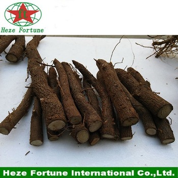 Top growing rate best species hybrid 9501 roots cutting for germination