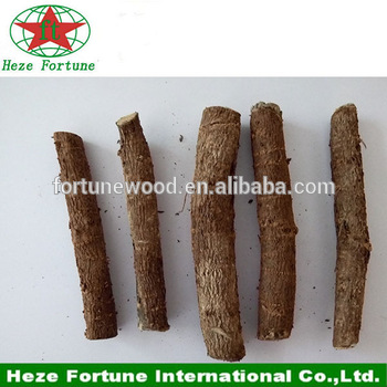 Top growing rate paulownia shan tong roots cutting