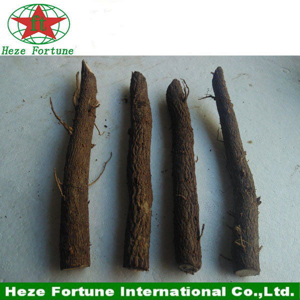 पॉलॉयनिया एलोनगाटा जड़ों काटने