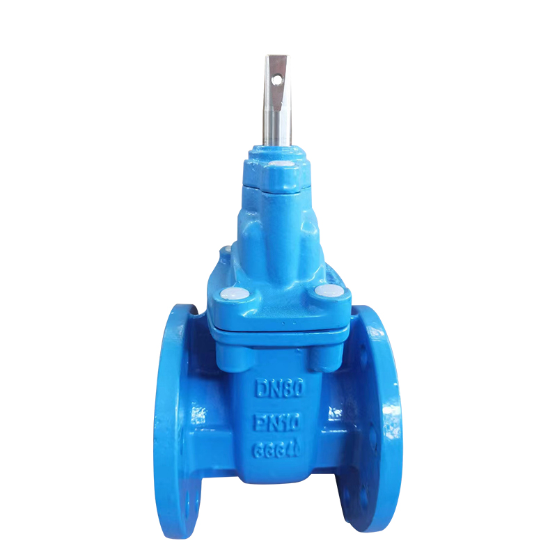 BS EN Water Gate Valves BS5163延性鋳鉄製マイニングメタルシートフランジゲートバルブ描画PN16