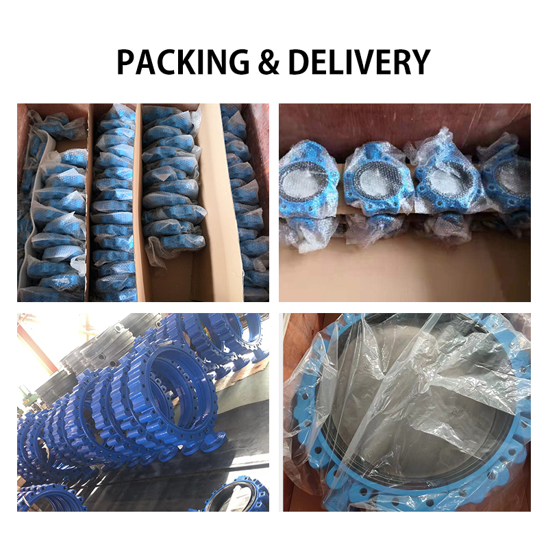 中国制造商Wholsales价格凸耳类型弹性座椅蝴蝶阀绘图和价格