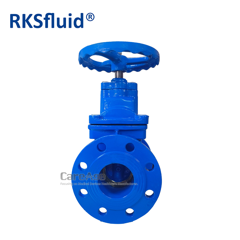 Customization High Quality BS5163 ductile cast iron Metal Seated Gate Valve PN16