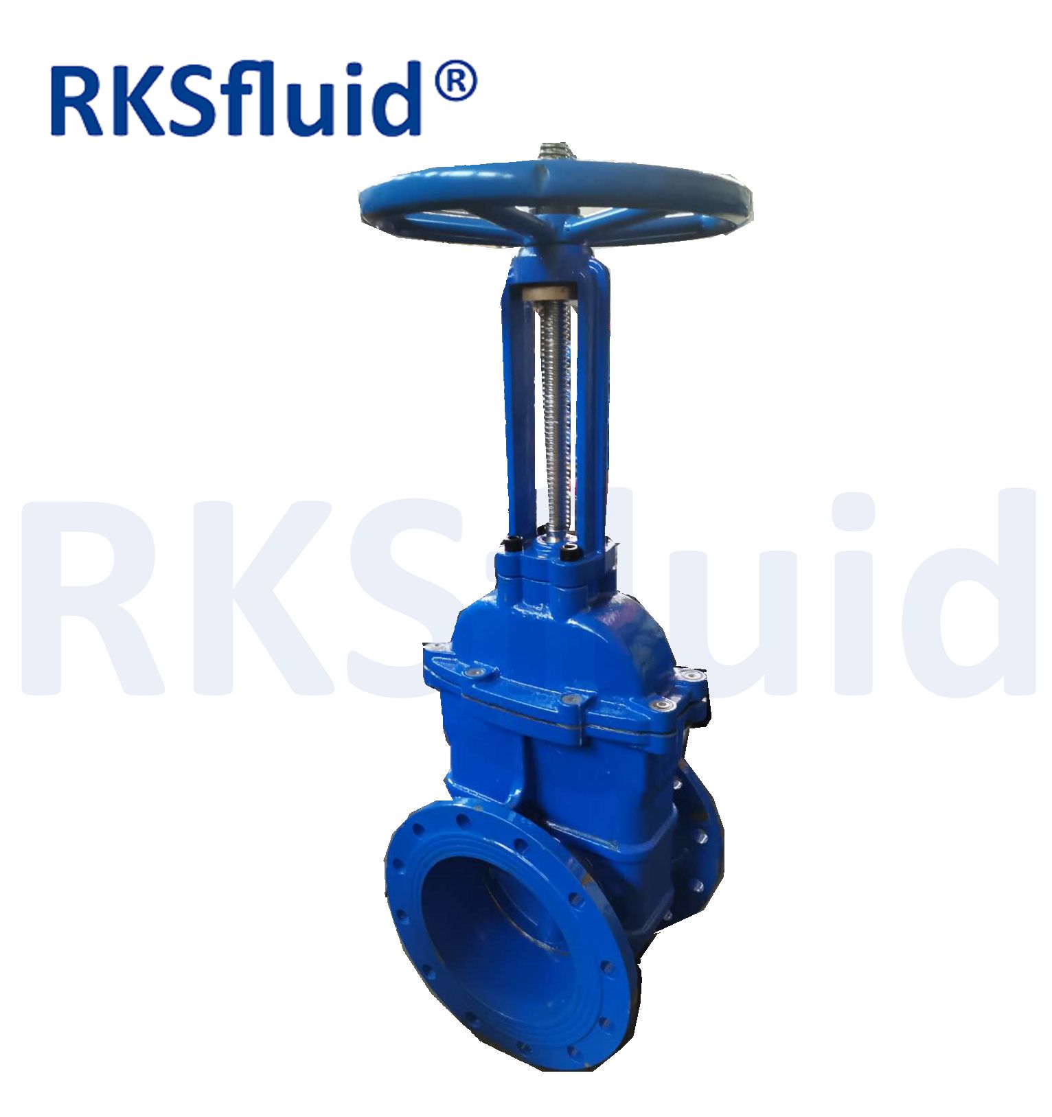 Ductile Iron Brass Metal-Seal Flanged End Rising Stem Gate Valve