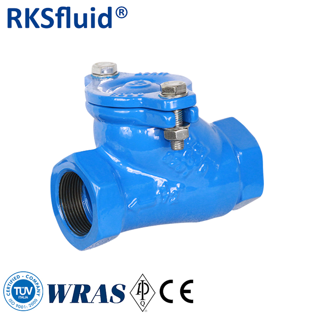 EN 1171 Ductile iron Thread Ball Check Valve DN50 PN16 for Water
