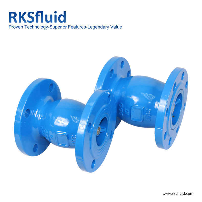 Düsenrückschlagventil