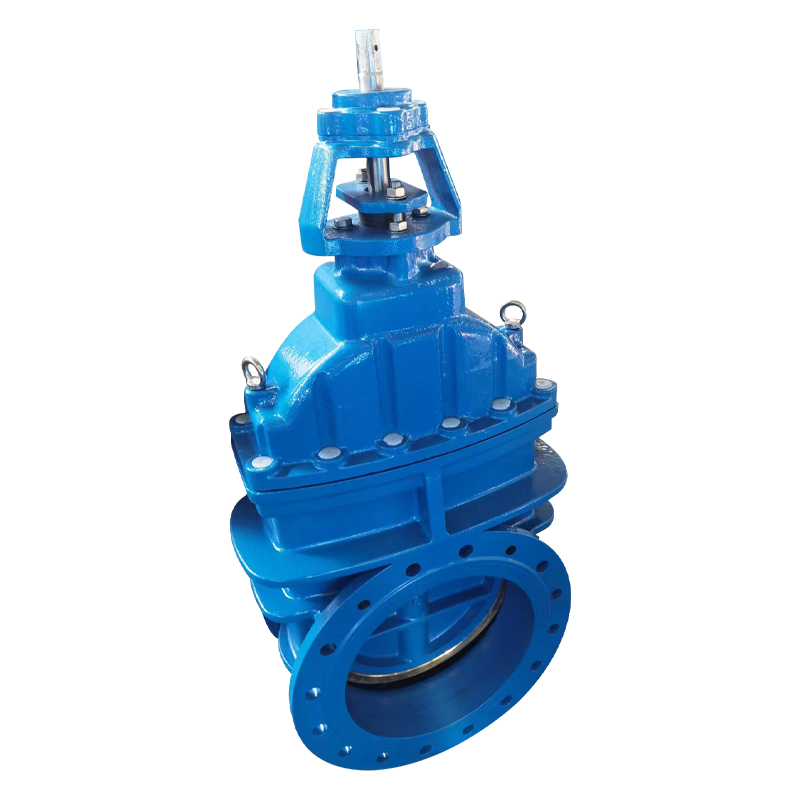 RKSfluid Suppliers Customized BS5163 PN16 DN800 Ductile Cast Iron Metal Seated Gate Valve