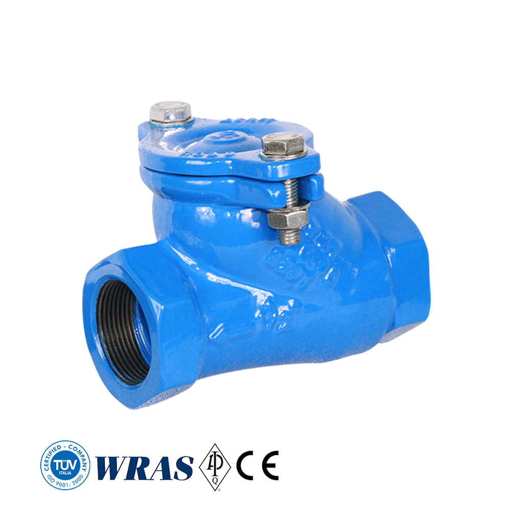 RKSfluid high quality ductile iron threaded and flanged ball check valve PN10 PN16 for water