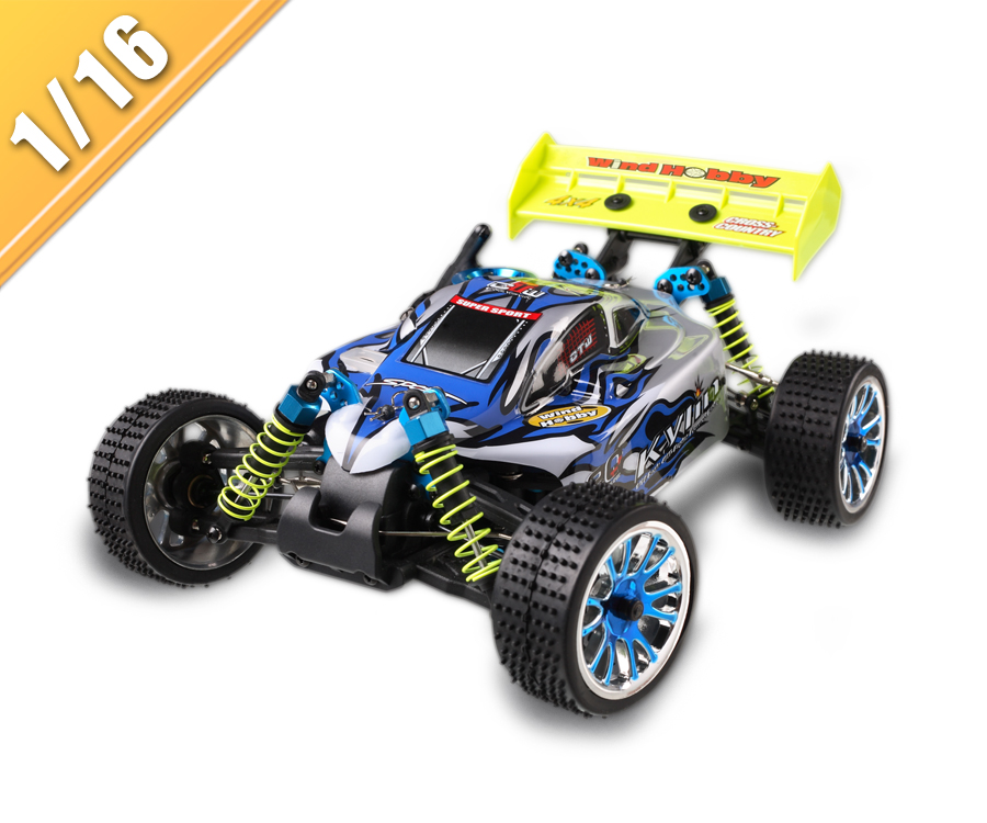 Maßstab 1:16 Nitro Gas-Off-Road Buggy TPGB-1675
