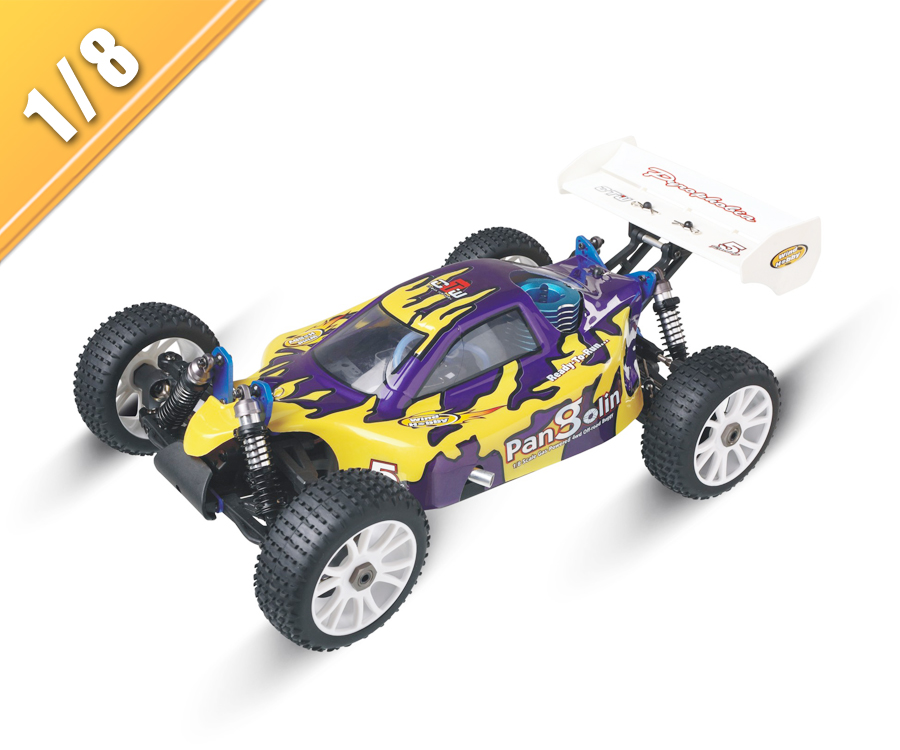 1/8 Skala 4WD Nitro Gas Off-Road Buggy angetrieben TPGB-0821