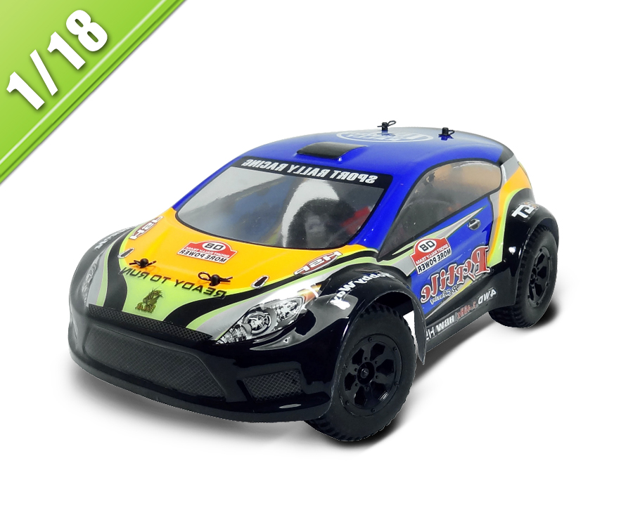 2.4G 1/18 scala elettrico alimentato RC Rally Car TPER-1808
