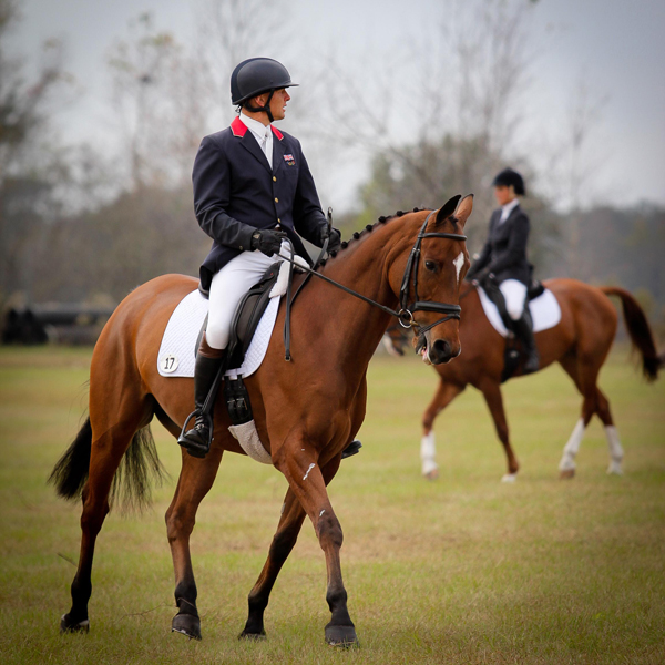 horse helmet manufacturer