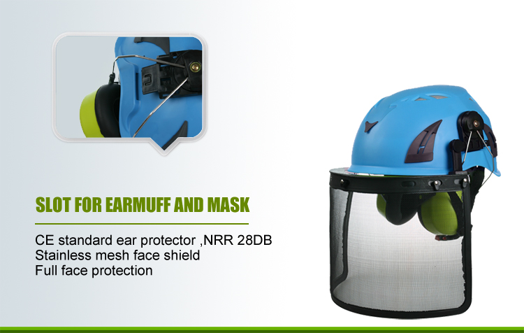 safety helmet price