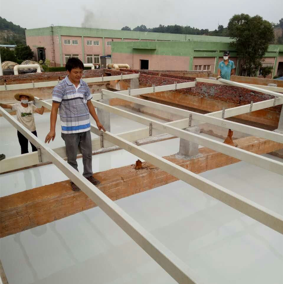 Fabricante plástico reforzado fibra de vidrio de alta resistencia de la correa del tejado de GRP FRP de la Anti-corrosión