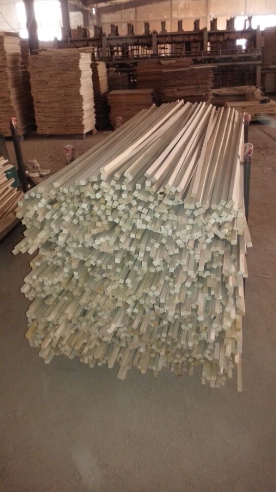 Paulovnija gdje k​​upiti Paulovnija