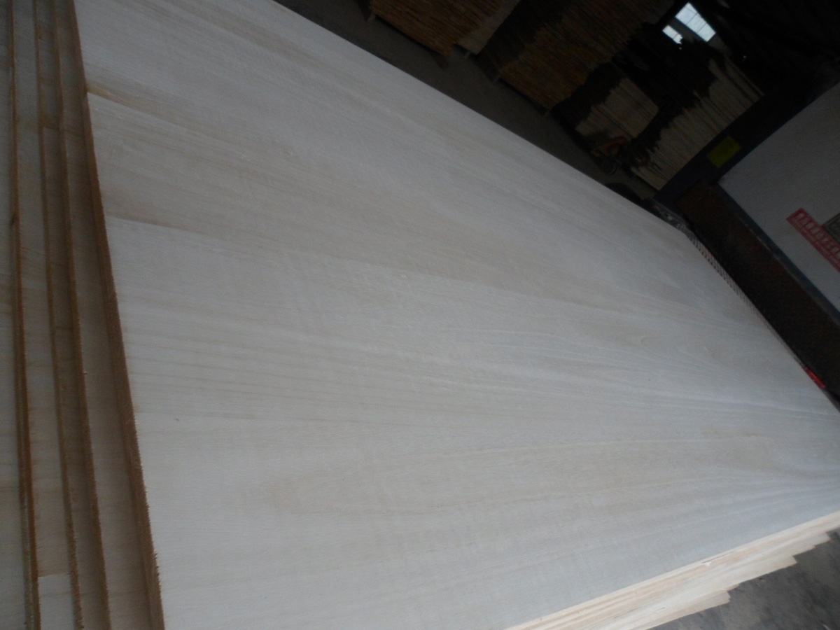 hot sale paulownia timber and paulownia wood price for wood coffins
