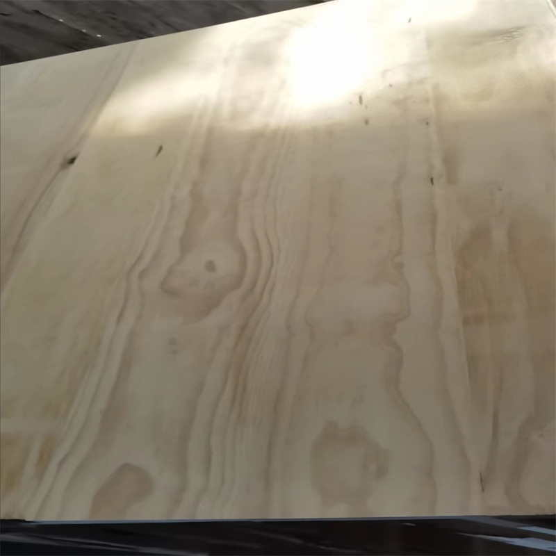 Radiata Pine Wood para los ataúdes y ataúdes del panel de fábrica