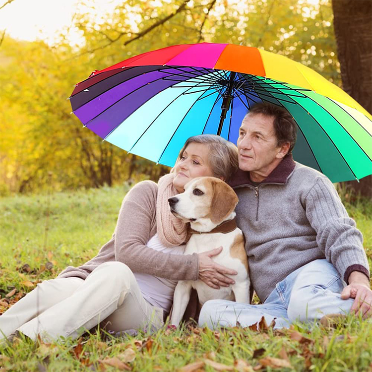 Colorful Rainbow Umbrella