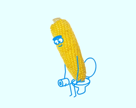 When you see the corns, will you dare to eat them?