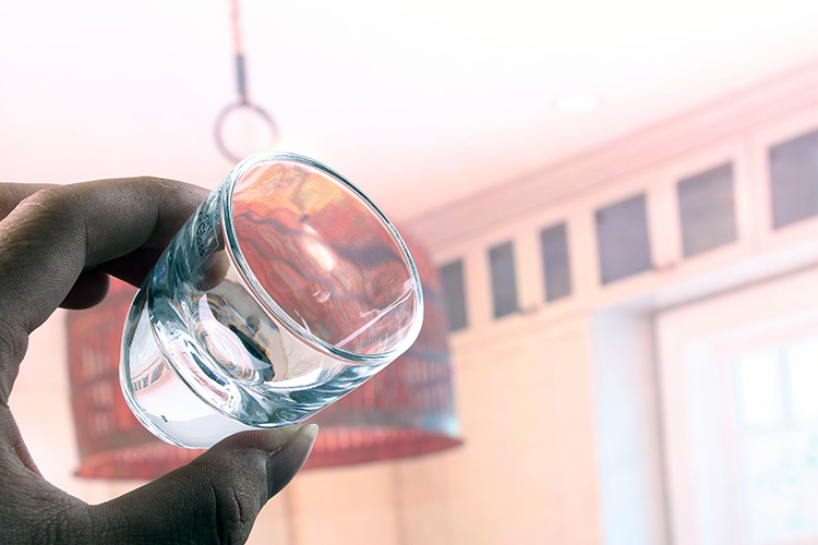 Crystal Martini Glasses