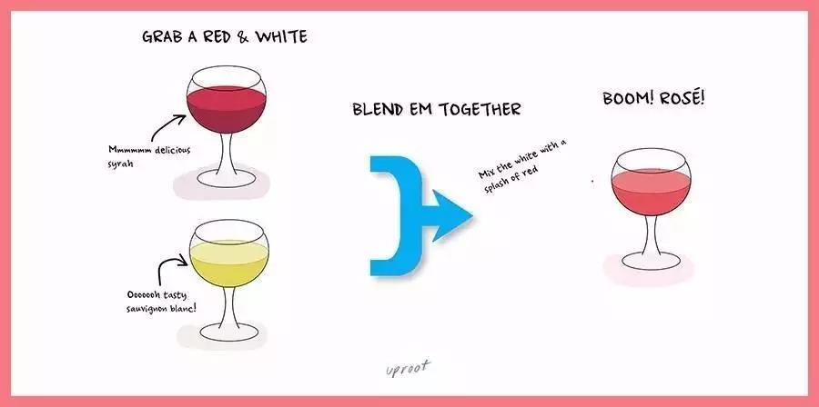 Does brandy and champagne belong to wine?