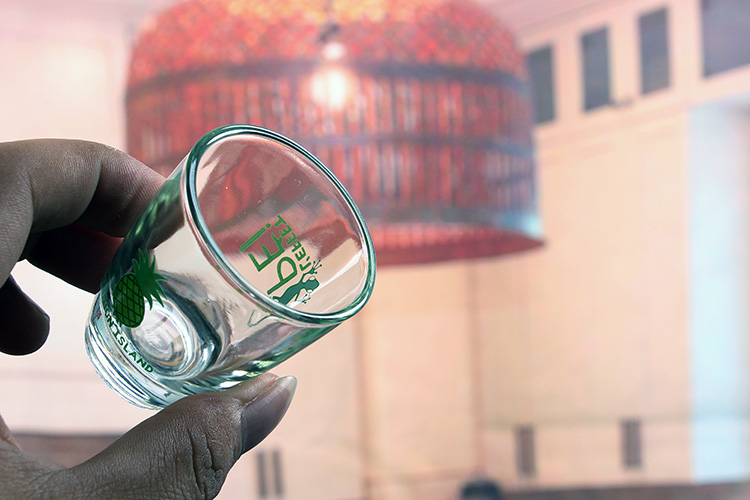 1.5oz funny shot glasses set