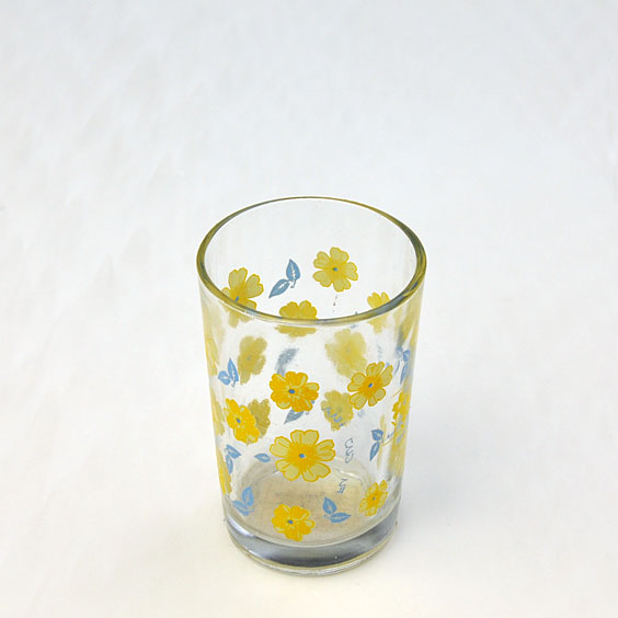 hand painted drinking glass