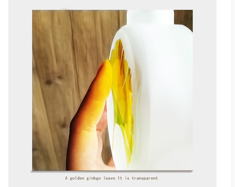 Dssential oil reed diffuser