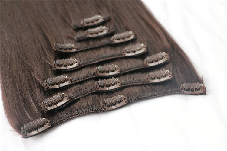 Unprocessed Wholesale Cheapest 100% remy human clip in hair extension