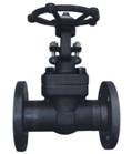 forged gate valve.jpg
