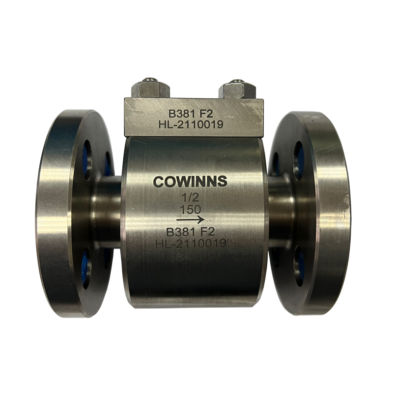 1/2 '' ASTM A381 F2 150LB FF Válvula de retención de pistón de brida