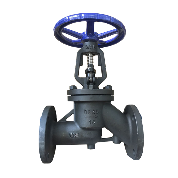 DN65 PN 16 WCB RF manual Antibiotic stop valve