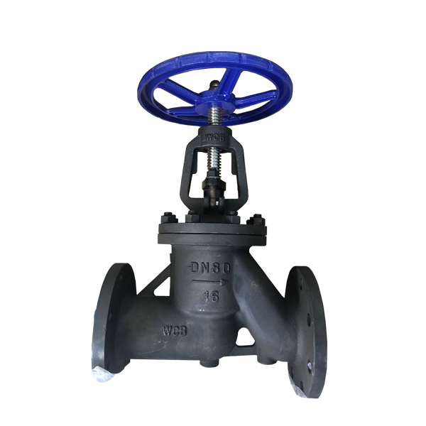 DN80 PN 16 WCB RF manual Antibiotic stop valve
