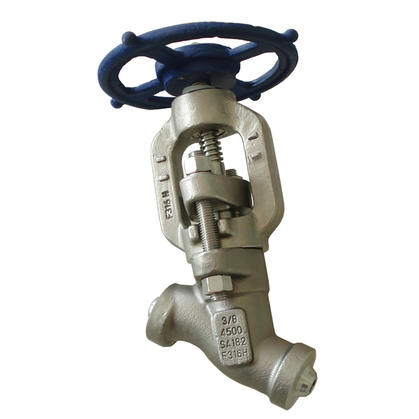 Y type 3/8'' A182 F316 4500LB BW globe valve