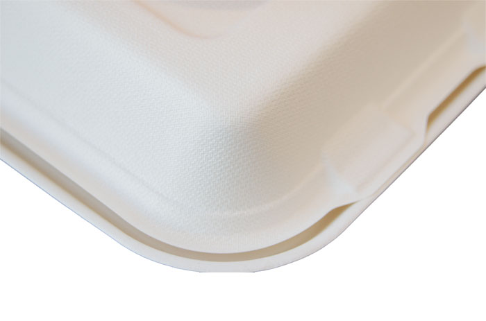 8 inch 3 compartment bagasse take out container food box manufacturer
