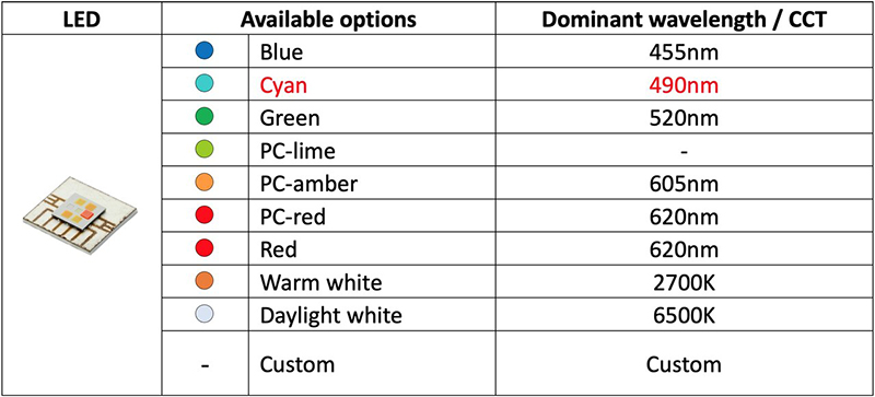 China LED Filament Light Manufacturer