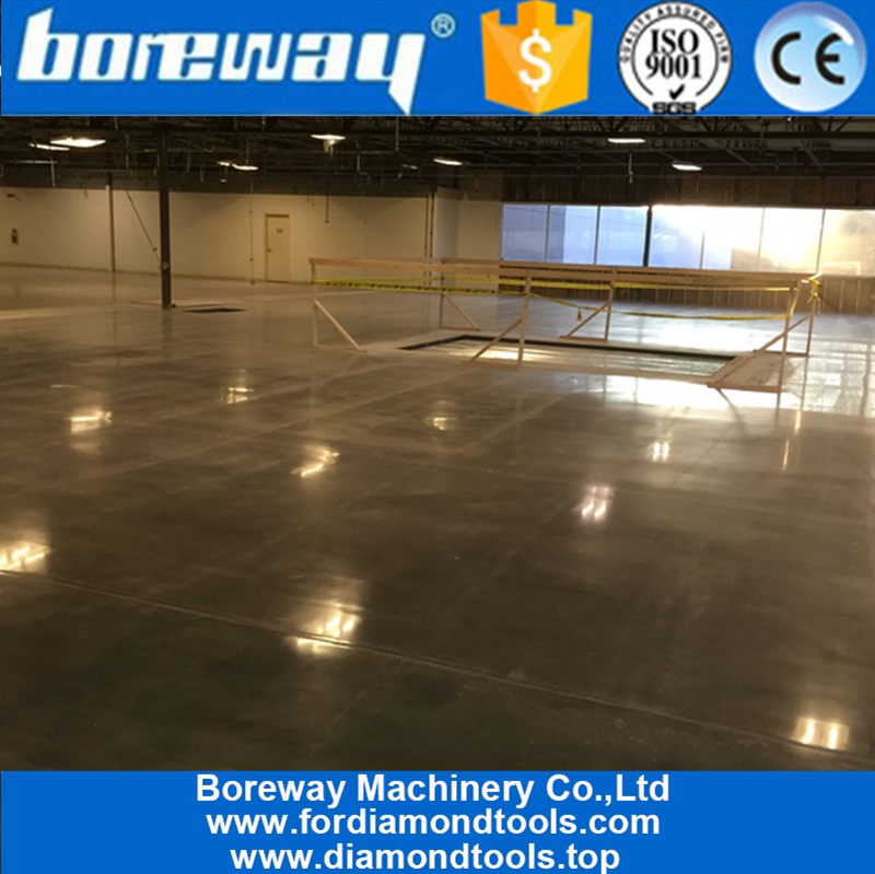 Diamond Metal Grinding Shoes With 2 Rectangle Segs For Concrete Floor