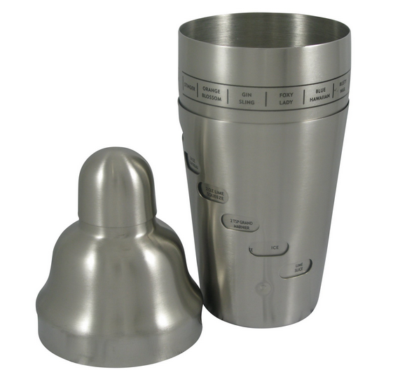 Stainless Steel Cocktail Shaker with Bartending Mixing Recipes