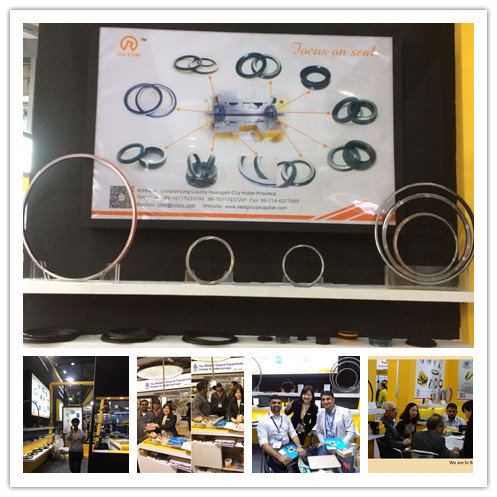 Floating Seal / duo cone seal / seal group / mechanical face seal / heavy duty seal / lifetime seal / floating oil seal