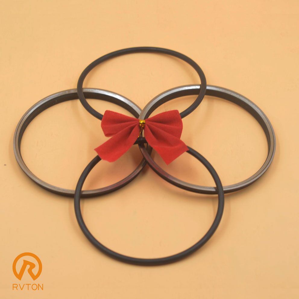 Gcr15 yüzen mühürler RG halkaları Forge, Dökme demir mekanik yüz mühürler Goetze GNL