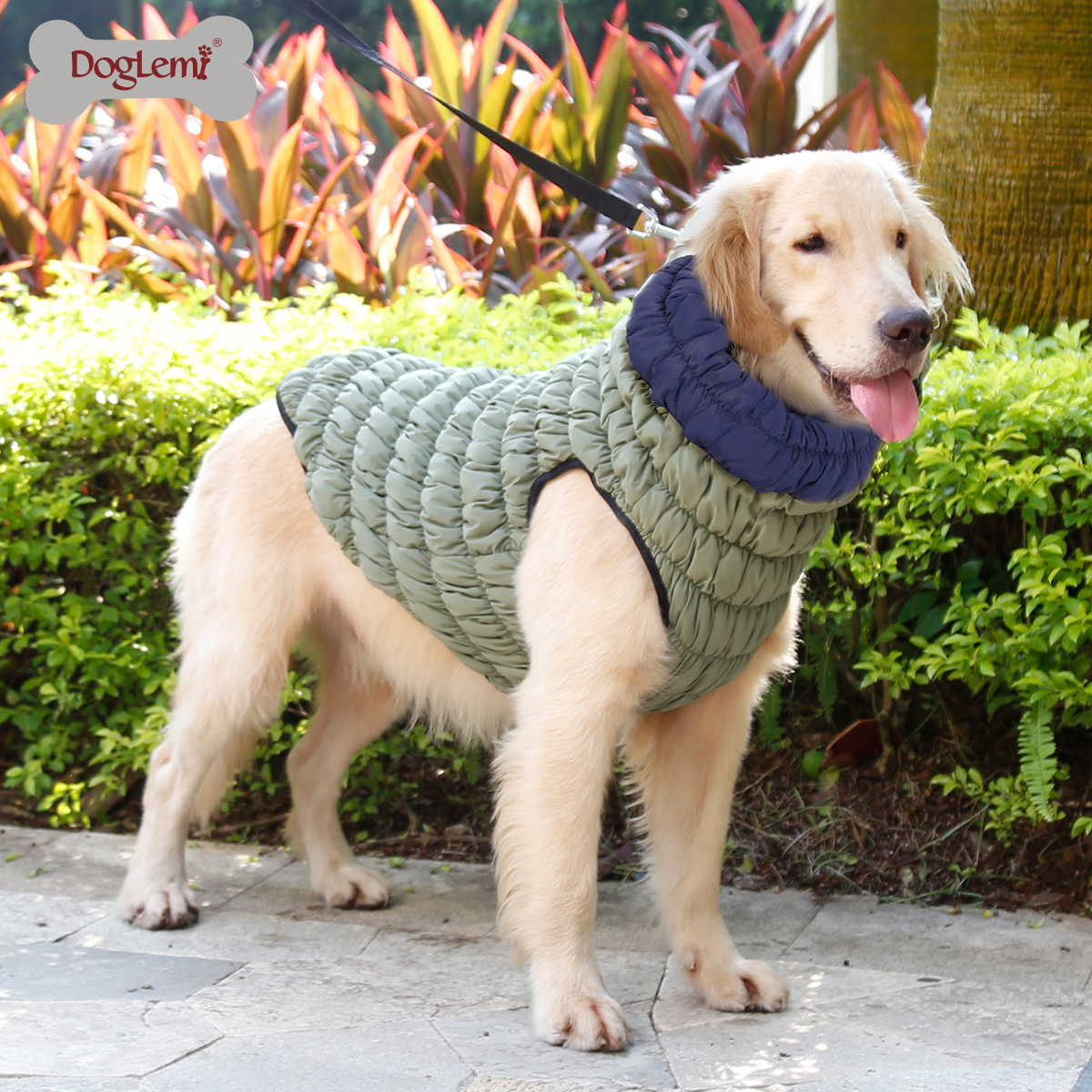 2019 Antihaft-Wolljacke aus Hundedehnung