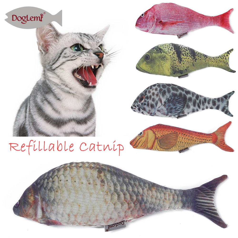 Jouet de kit poisson chat