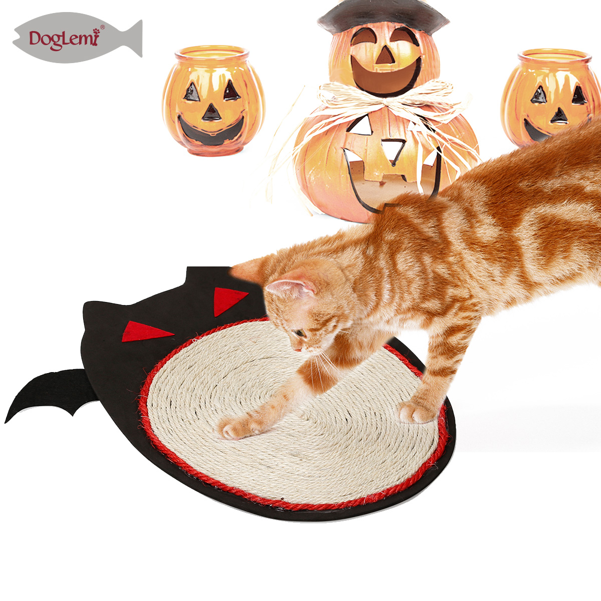 Chat grattoir halloween