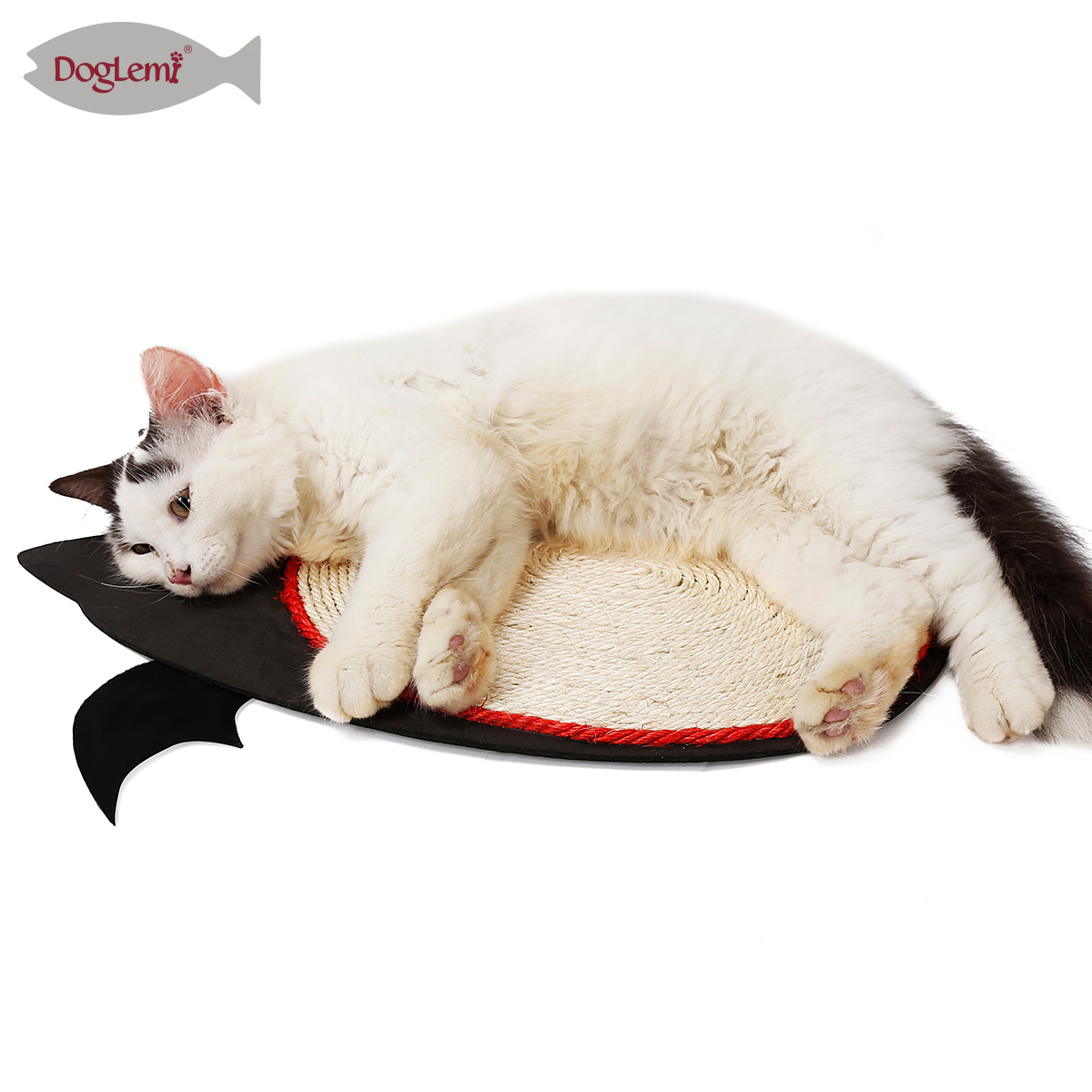 Chat grattoir halloween